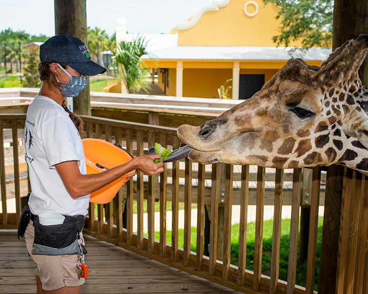 Education, Conservation and Interaction at the new Alabama Gulf Coast Zoo -  Ballinger Publishing